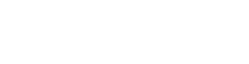 Fly N Drive campaign logo